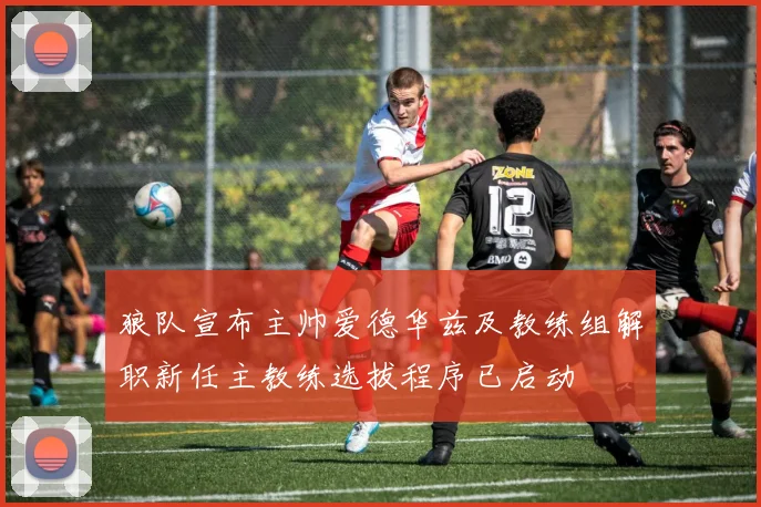 狼队宣布主帅爱德华兹及教练组解职新任主教练选拔程序已启动