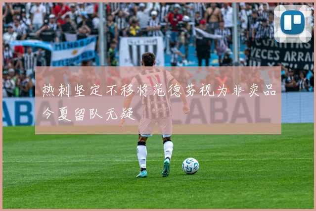 热刺坚定不移将范德芬视为非卖品今夏留队无疑